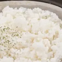 アラジンのカレーセット登場！