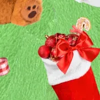 PetsTokyoの特別な冬