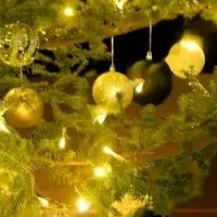 湯河原の冬グランピング