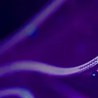 IFS Cloud 25R2登場