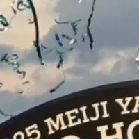 ホーリーホックの祝賀