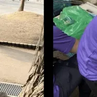 奈良公園清掃活動