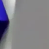 障害者データ活用