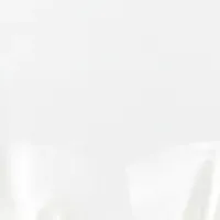 新世代ティッシュ登場