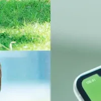 ゆうちょ通帳アプリの成功