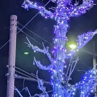 久留米の光の祭典