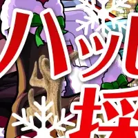 サンタジャックの面接