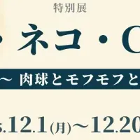 猫の特別展開催