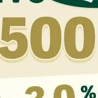 Olive Winter Festival!