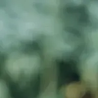 相続リスクと弁護士保険