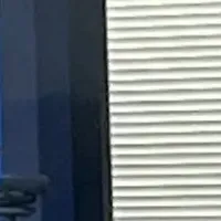 パパネッツの挑戦