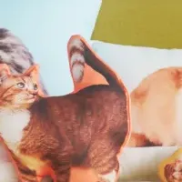 オリジナルグッズ誕生