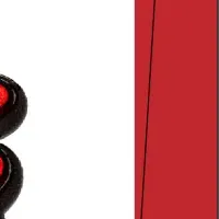 新フィメールチーム誕生