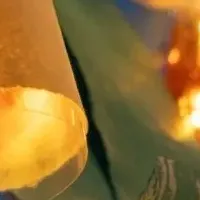 越前和紙サステナブルクリスマス