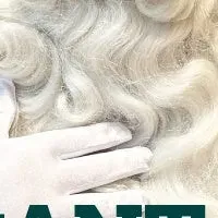 サンタとクリスマス！