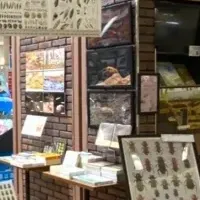 みらいや昆虫館誕生