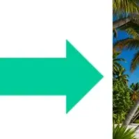 GSアライアンスの挑戦