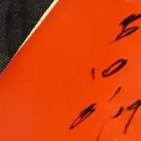 古田敦也氏が参加