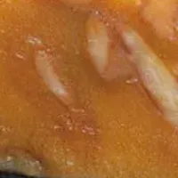 郷土菓子と文化