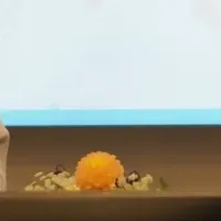 多摩エリア起業支援