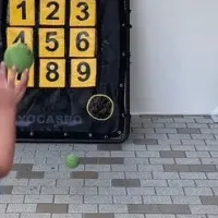 香川オリーブガイナーズ