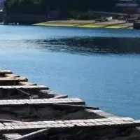 佐賀関の味で支援