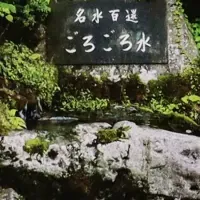 奈良のコスメ新登場