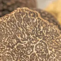 浅草の特別トリュフコース