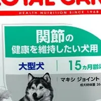 大型犬用新フード