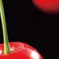 東根市プロモーション