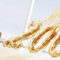 YINOLIFEの新機種