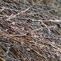 別府・ひょうたん温泉