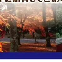 焼肉フェアの詳細