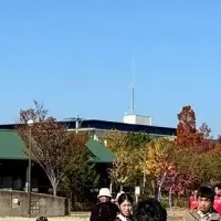 自転車教室の挑戦