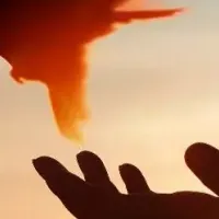 オウルズの社会貢献