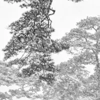 ワーナー・ビショフ写真展