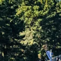 マラソンとサステナブル