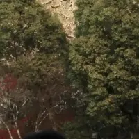 姫路でオシロボッツイベント