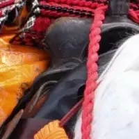 清和源氏まつりと行列