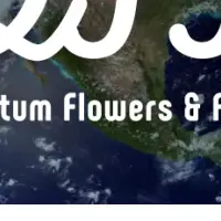 QFF、欧州進出に挑む