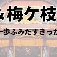 体験イベント開催