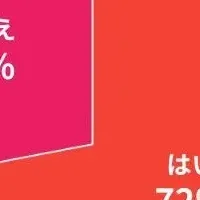 カーナビ離れ進行中