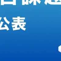 デジタル広告課題調査