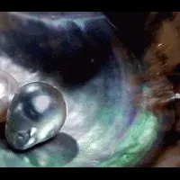 新たなペット供養の形