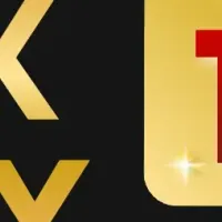 ぞうねこちゃんねるの成功