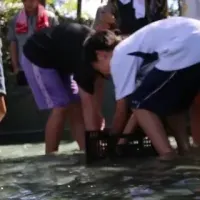 越知町の食育プロジェクト