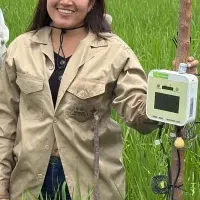 ペルー稲作とe-kakashi