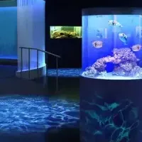 広島水族館の香り