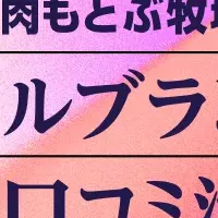 沖縄インバウンド戦略