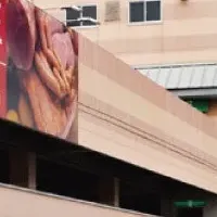 Fujisan's New System